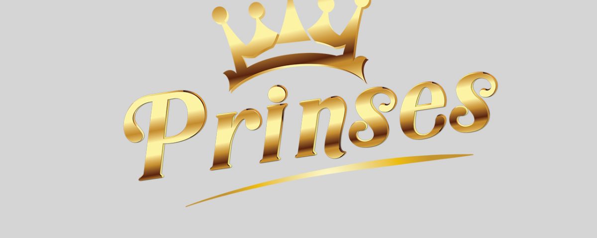portfolio_logo_Prinses