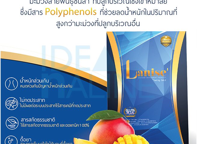 socialAds_Poster_Lanise01