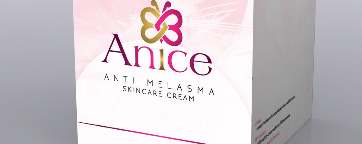 portfolio_3Ds_Anice