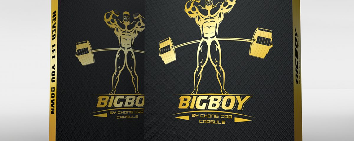 portfolio_3Ds_Bigboy01