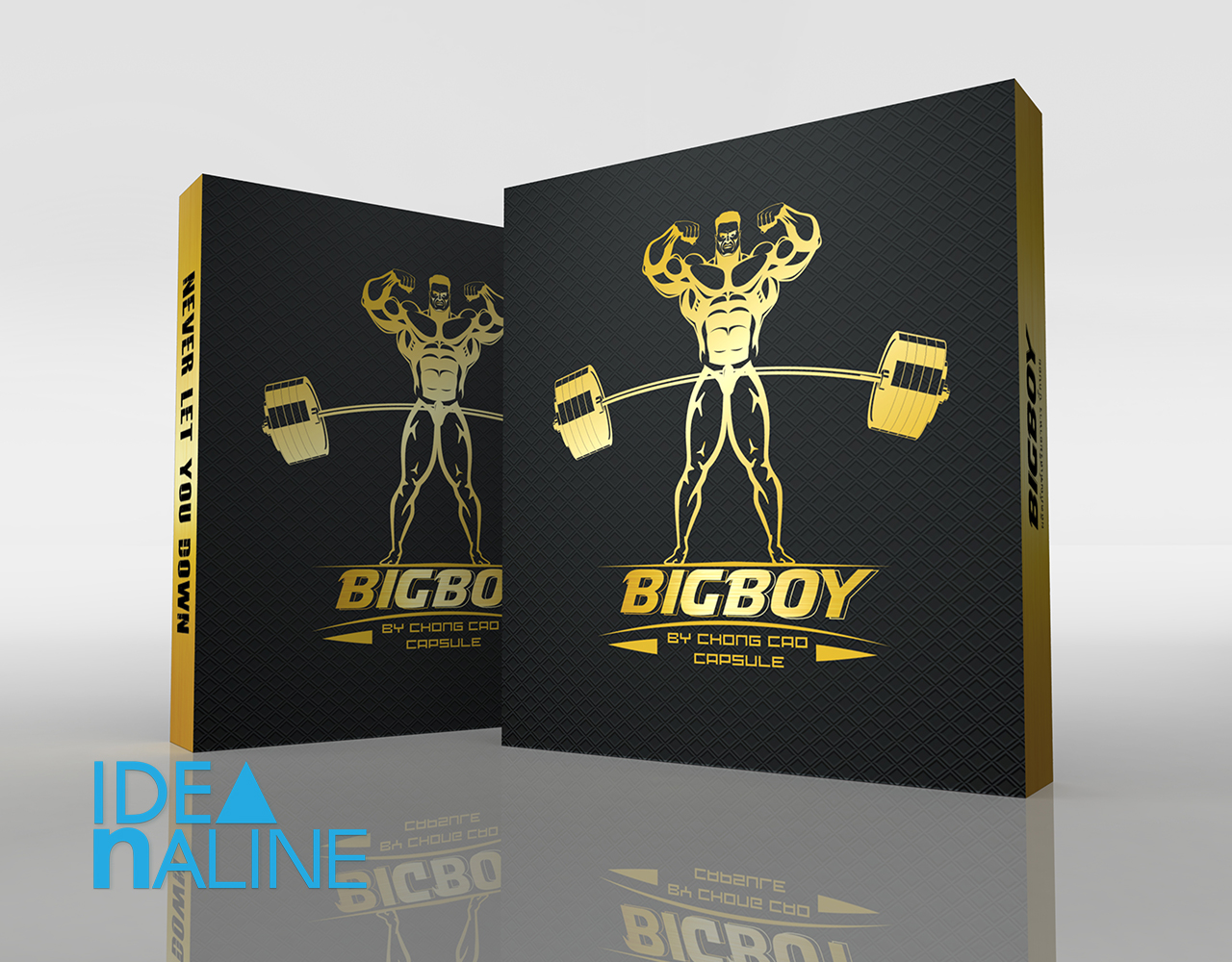 portfolio_3Ds_Bigboy01